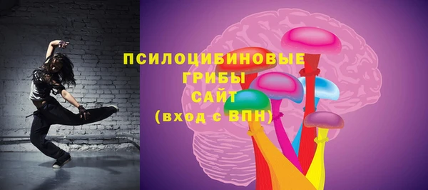 прущие грибы Абдулино