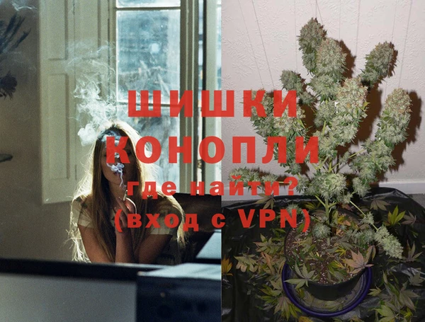 прущие грибы Абдулино