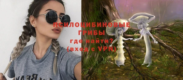 прущие грибы Абдулино