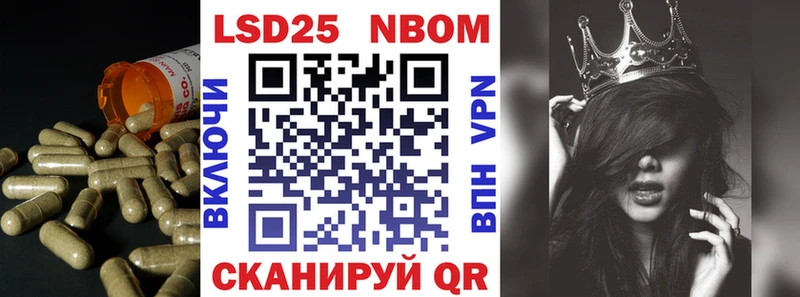 закладки  Шали  darknet какой сайт  ЛСД экстази ecstasy  гидра  